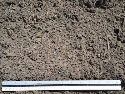 Hampton Compost